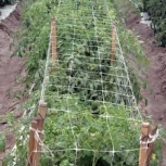 supporti-fiori-ortaggi-3