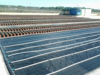 teli-pacciamatura-6